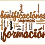 Difusión de la formación programada por las empresas
