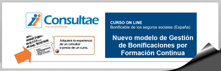 Curso Online: Nuevo Modelo De Gestión De Bonificaciones Por Formación ...